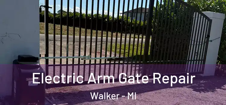  Electric Arm Gate Repair Walker - MI