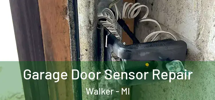  Garage Door Sensor Repair Walker - MI